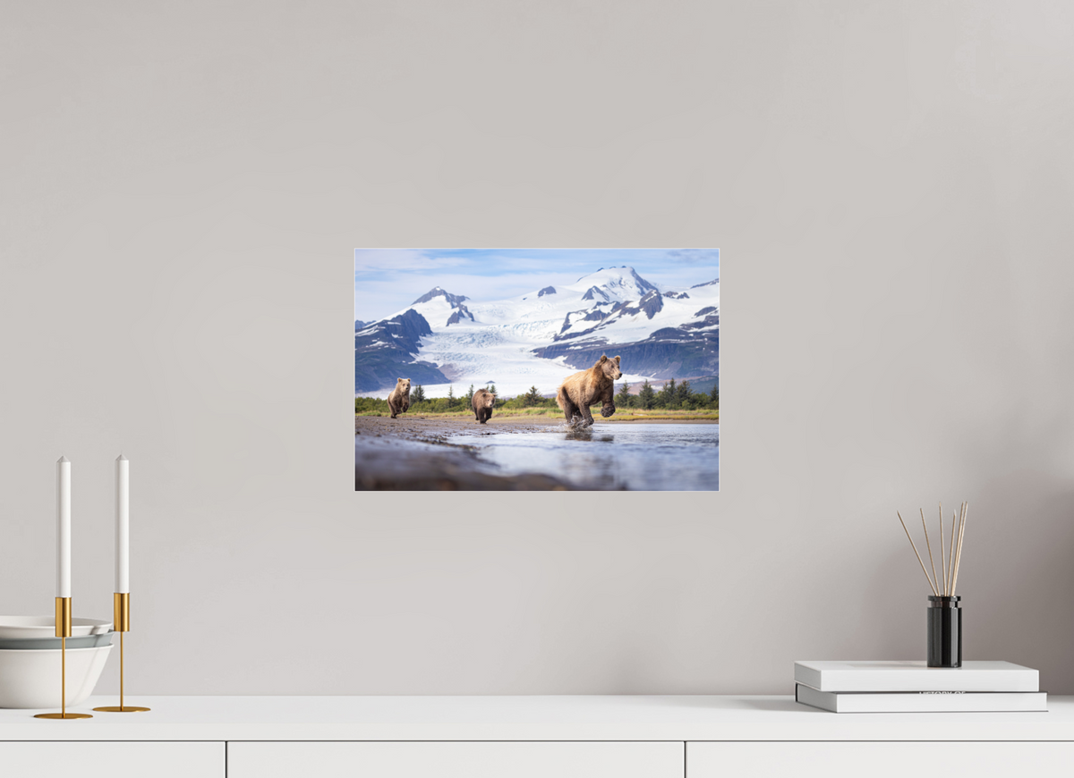 15 x 10″, Photo Print Under Acrylic Glass Coastal Brown Bear Family Dashing Through Katmai National Park