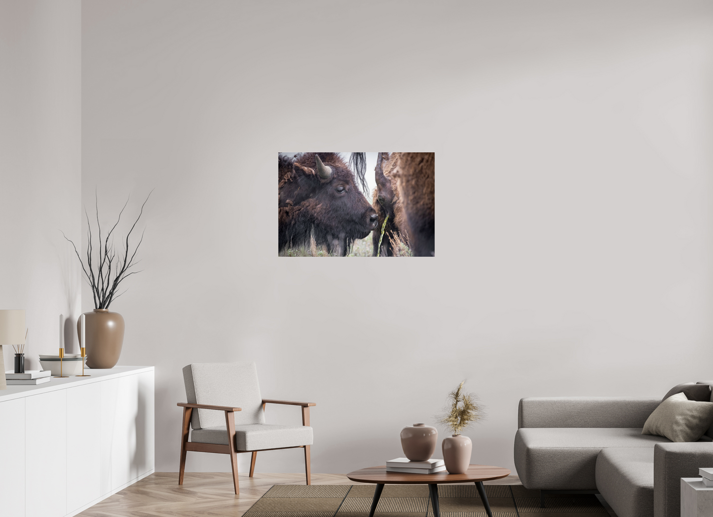 36 x 24″, Photo Print Under Acrylic Glass The Bison Consumes