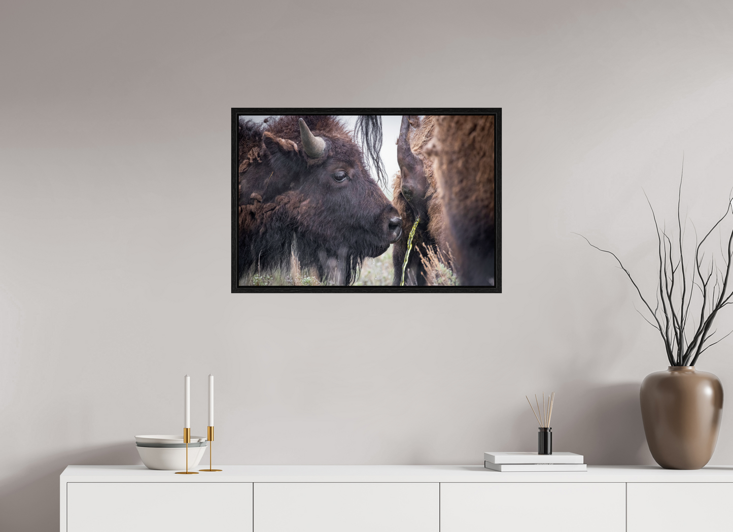 30 x 20″, Floater Frame The Bison Consumes
