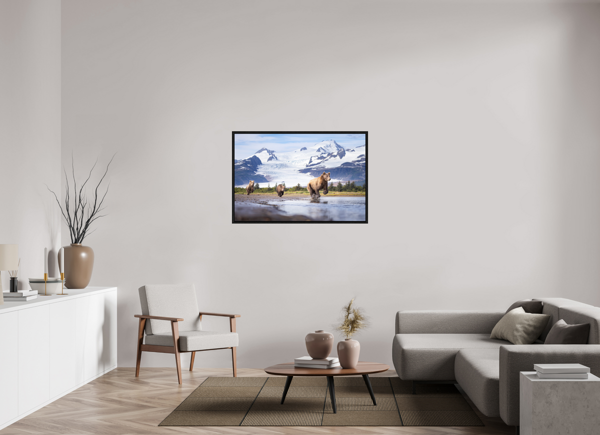 45 x 30″, Floater Frame Coastal Brown Bear Family Dashing Through Katmai National Park