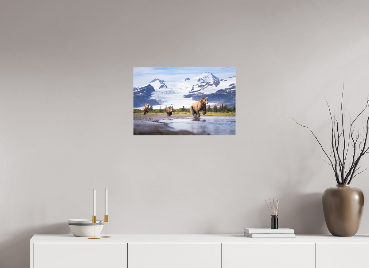 24 x 16″, Photo Print Under Acrylic Glass Coastal Brown Bear Family Dashing Through Katmai National Park