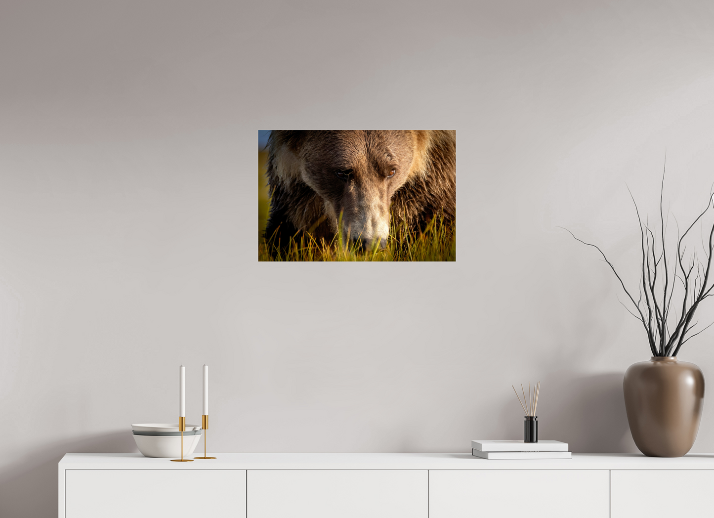 24 x 16″, Photo Print Under Acrylic Glass The Brown Bear's Gaze