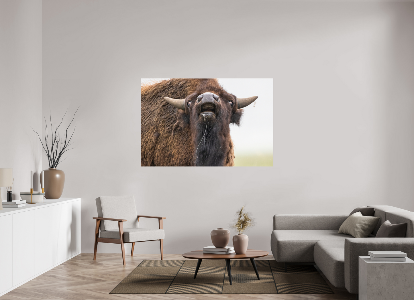 66 x 44″, Photo Print Under Acrylic Glass The Bison Reacts