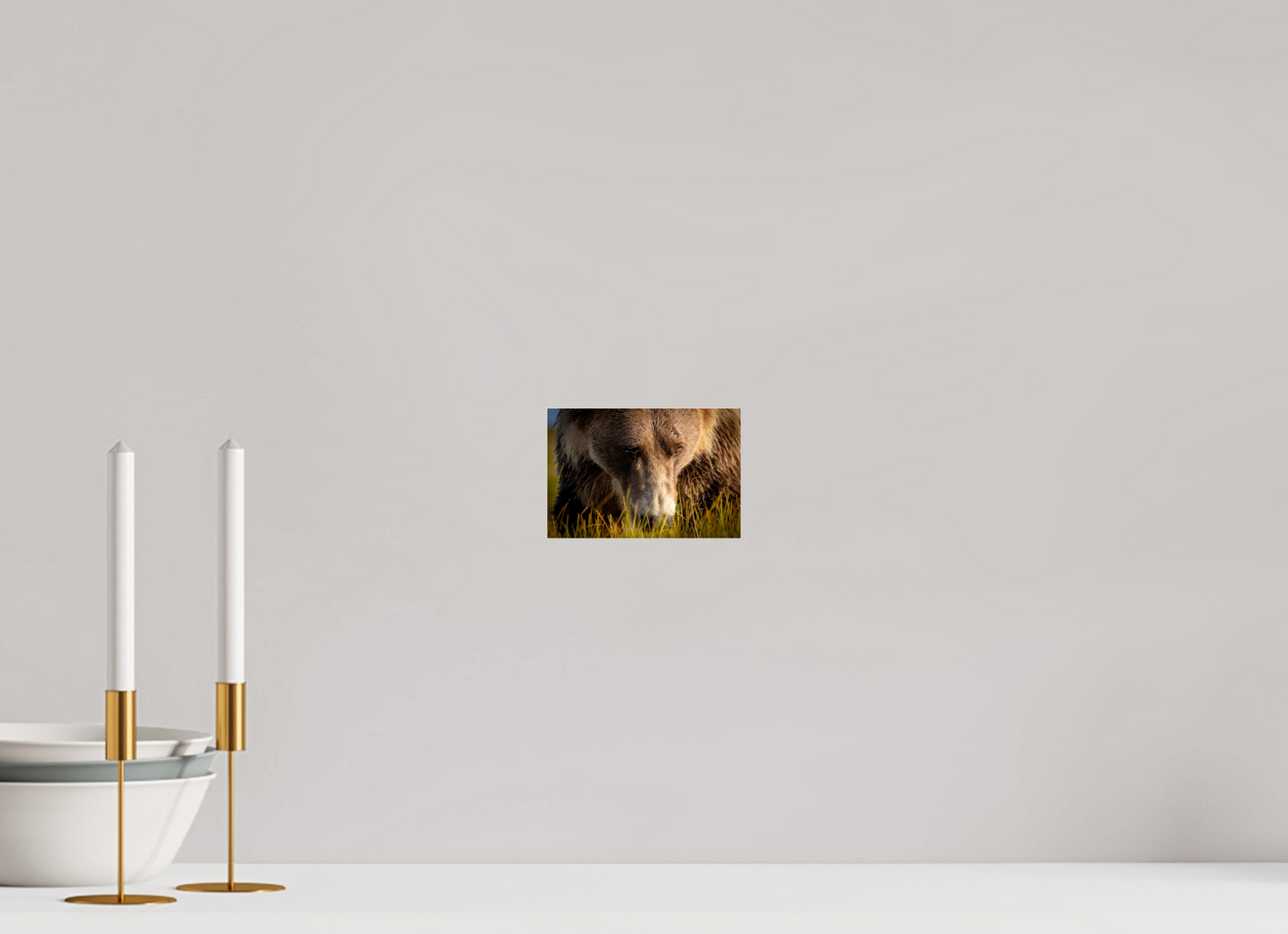 6 x 4″, Photo Print Under Acrylic Glass The Brown Bear's Gaze