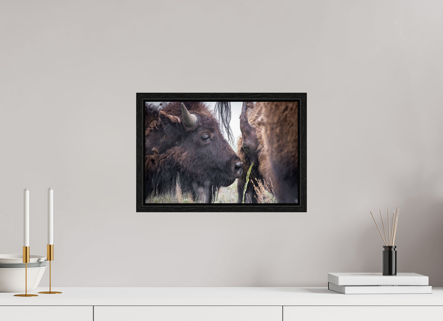 15 x 10″, Floater Frame The Bison Consumes