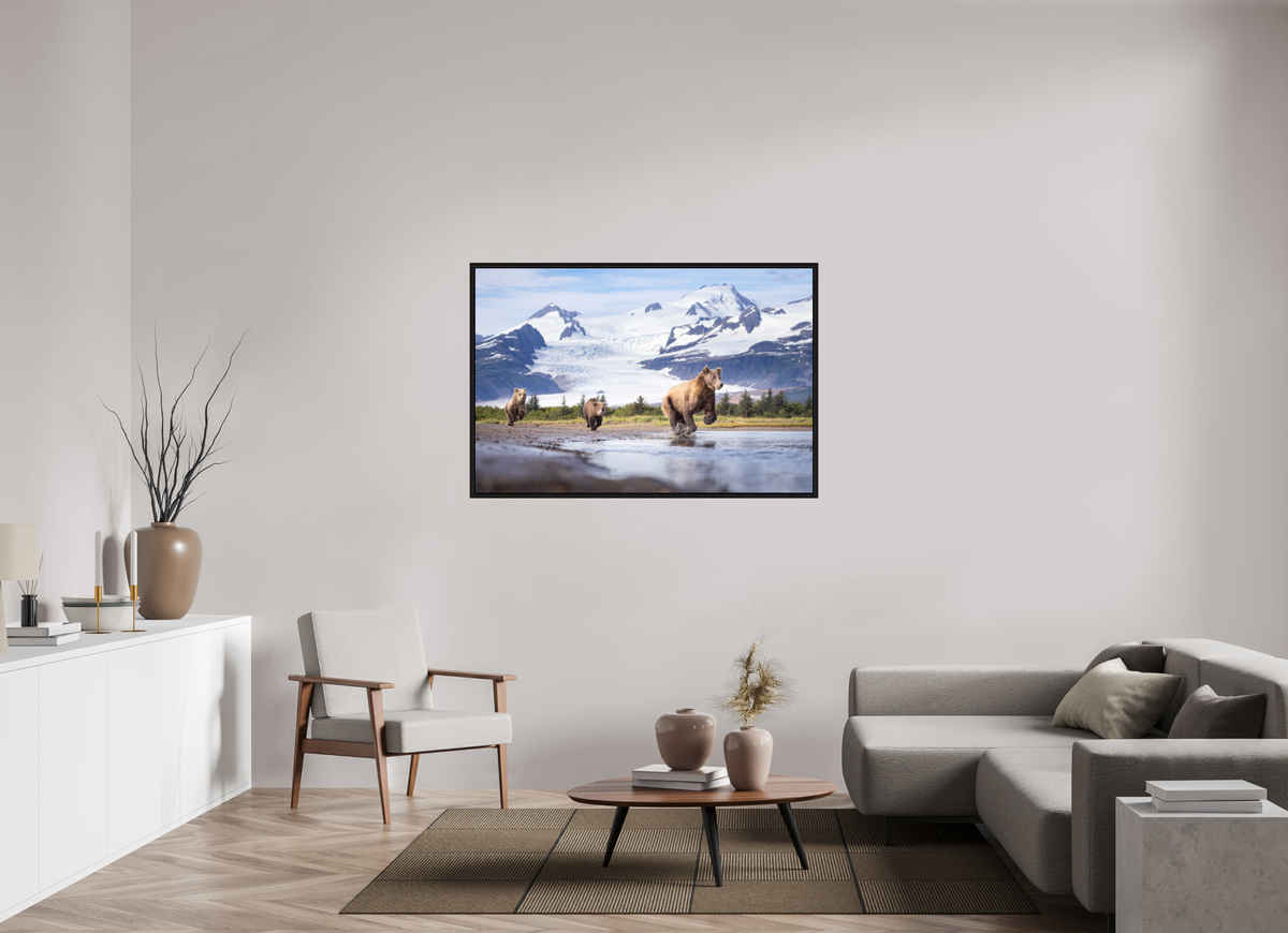 54 x 36″, Floater Frame Coastal Brown Bear Family Dashing Through Katmai National Park