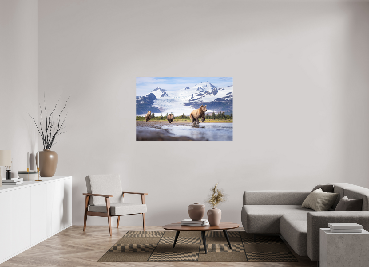 54 x 36″, Photo Print Under Acrylic Glass Coastal Brown Bear Family Dashing Through Katmai National Park