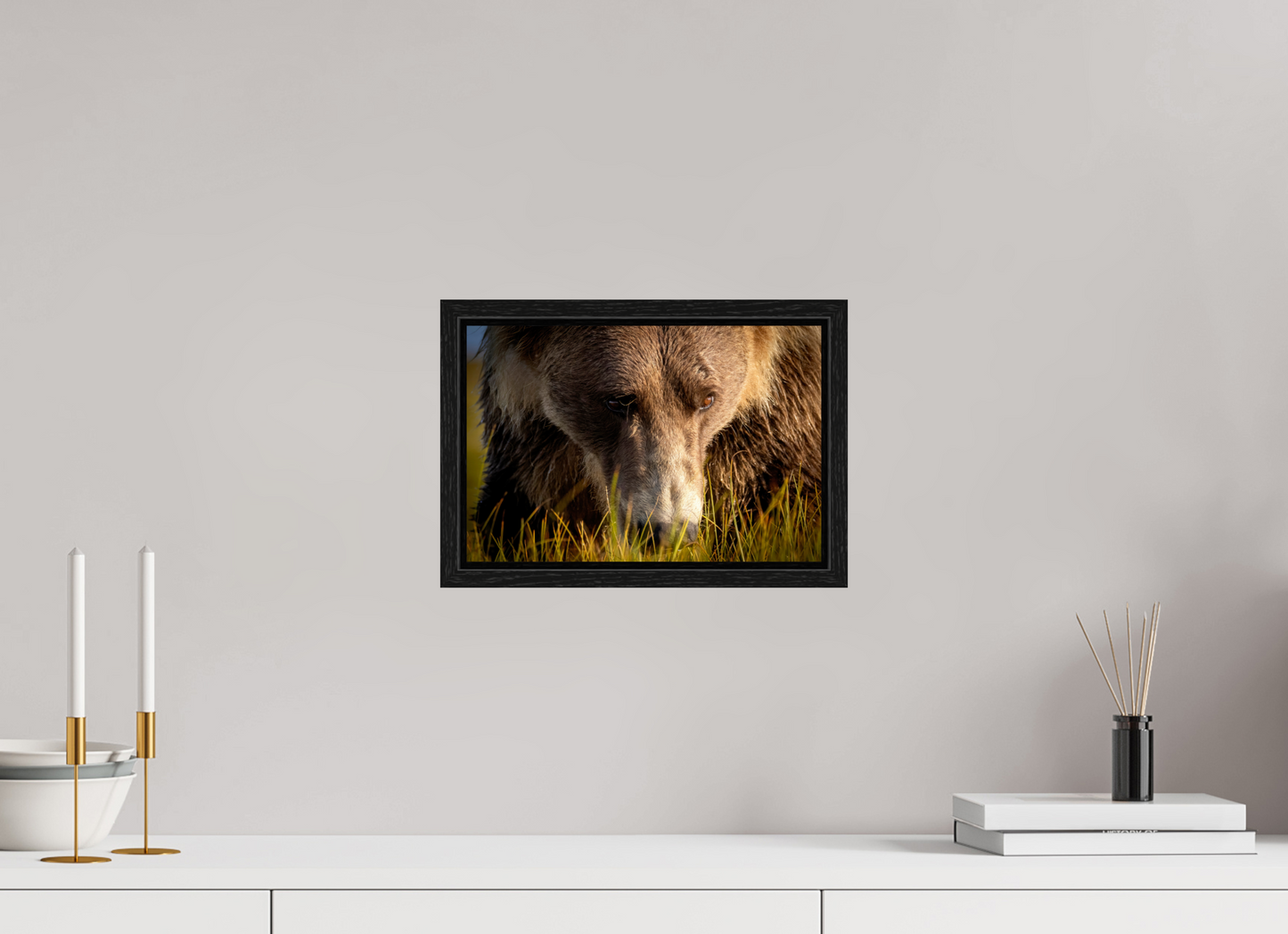 12 x 8″, Floater Frame The Brown Bear's Gaze