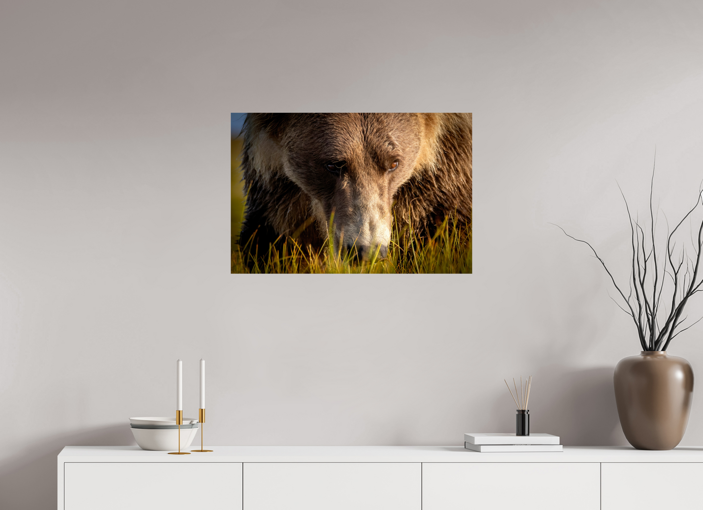 30 x 20″, Photo Print On Fuji Crystal DP II The Brown Bear's Gaze
