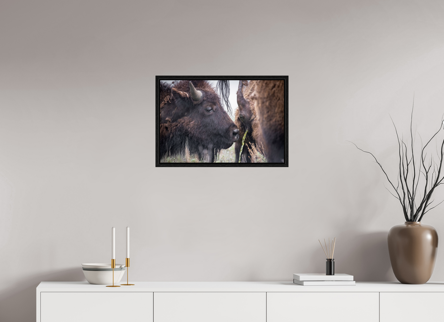 24 x 16″, Floater Frame The Bison Consumes