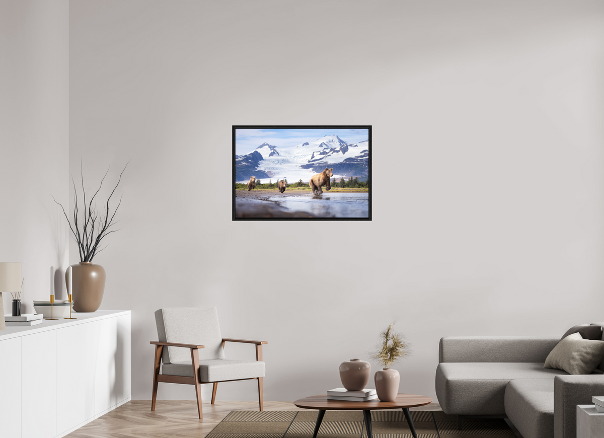 36 x 24″, Floater Frame Coastal Brown Bear Family Dashing Through Katmai National Park
