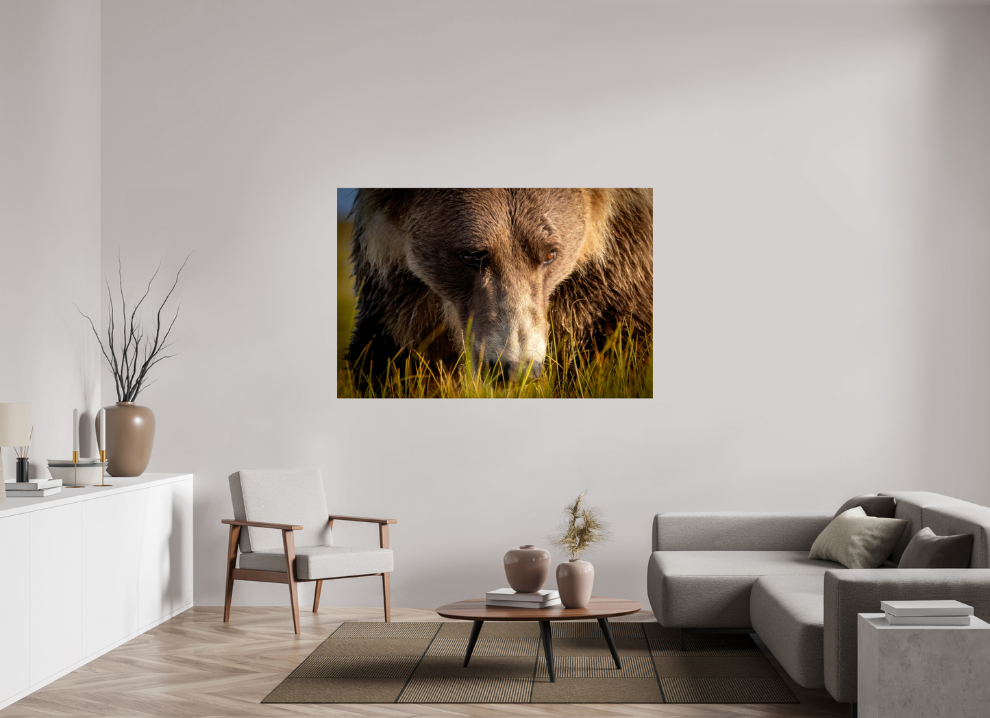 66 x 44″, Photo Print Under Acrylic Glass The Brown Bear's Gaze