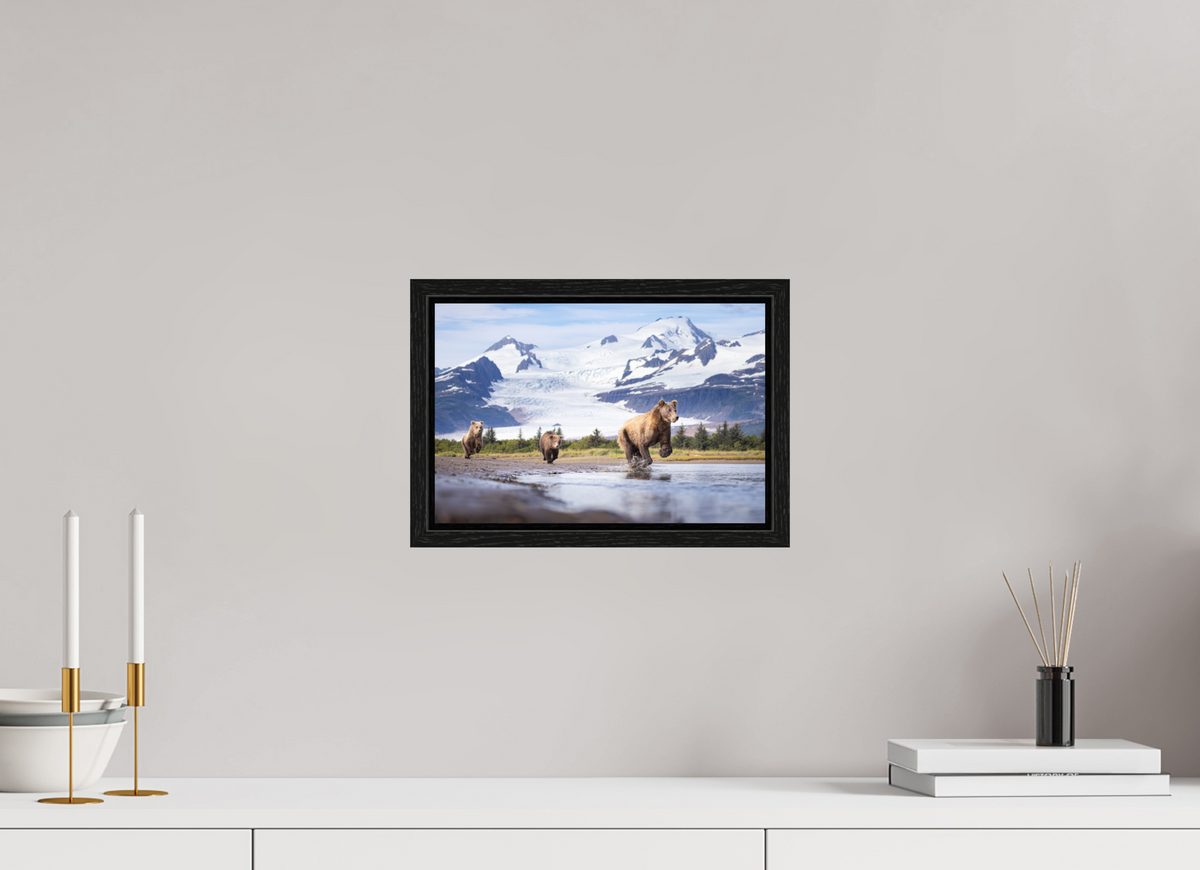 12 x 8″, Floater Frame Coastal Brown Bear Family Dashing Through Katmai National Park