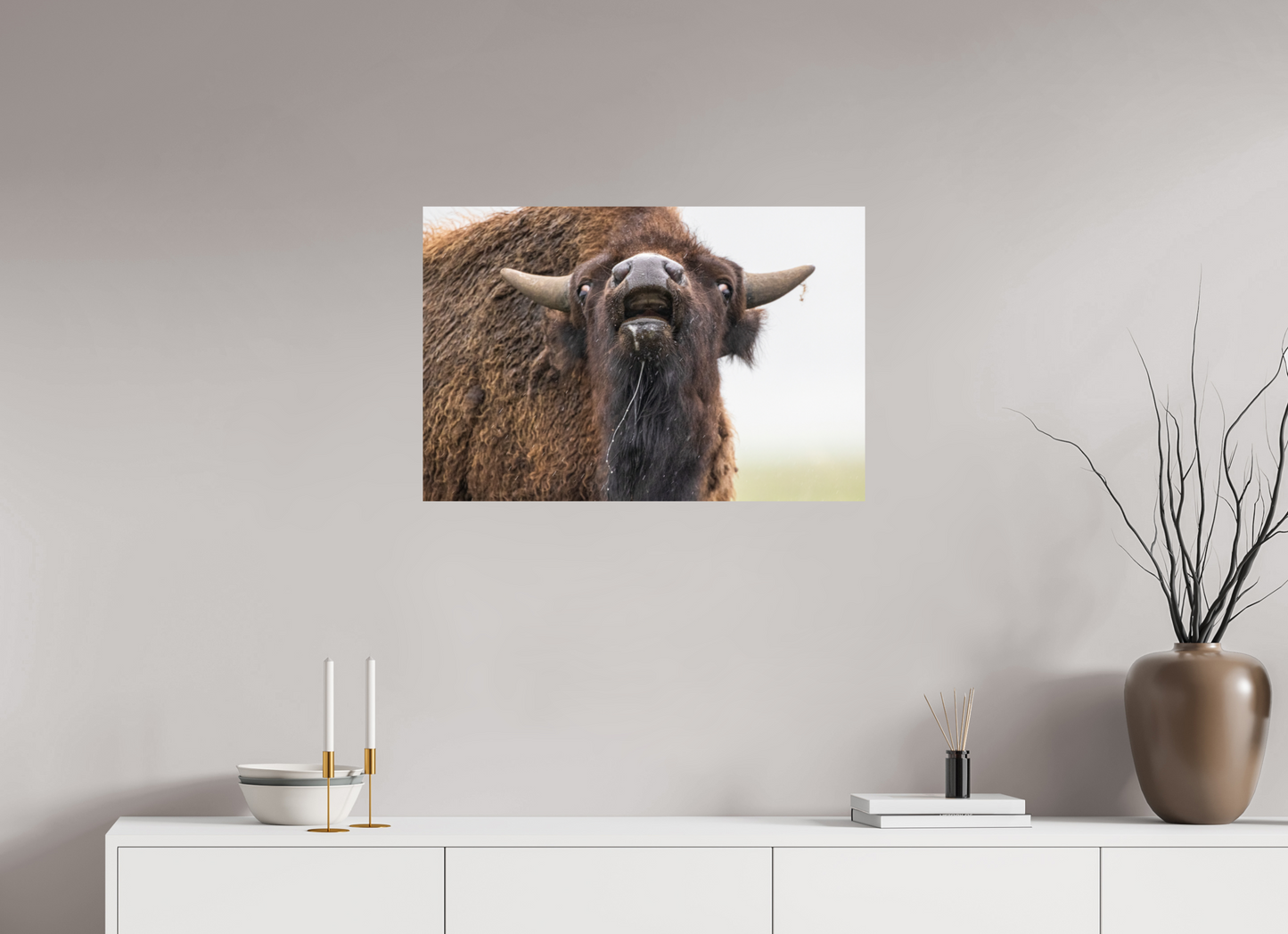 30 x 20″, Photo Print On Fuji Crystal DP II The Bison Reacts