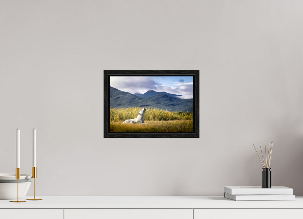 12 x 8″, Floater Frame The Call of the White Wolf