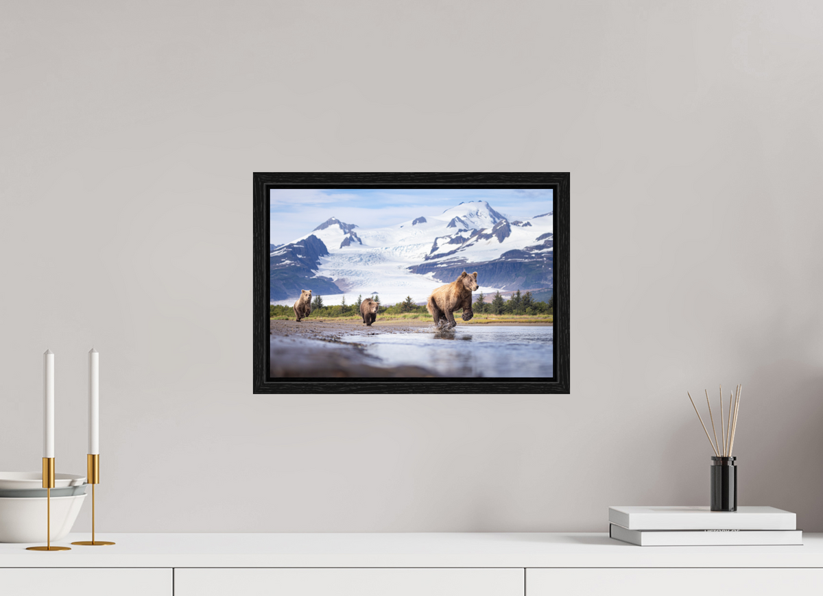 15 x 10″, Floater Frame Coastal Brown Bear Family Dashing Through Katmai National Park