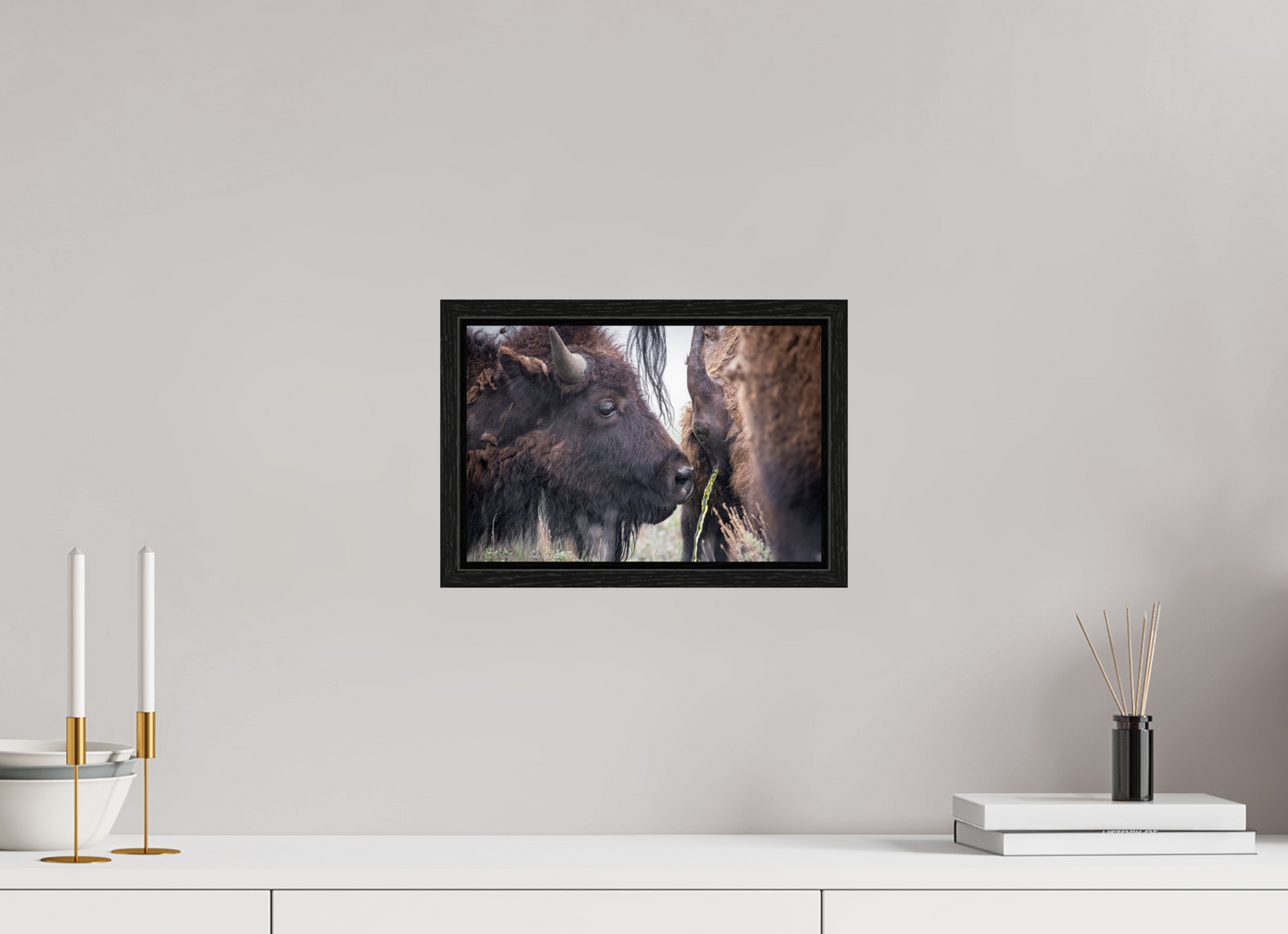 12 x 8″, Floater Frame The Bison Consumes