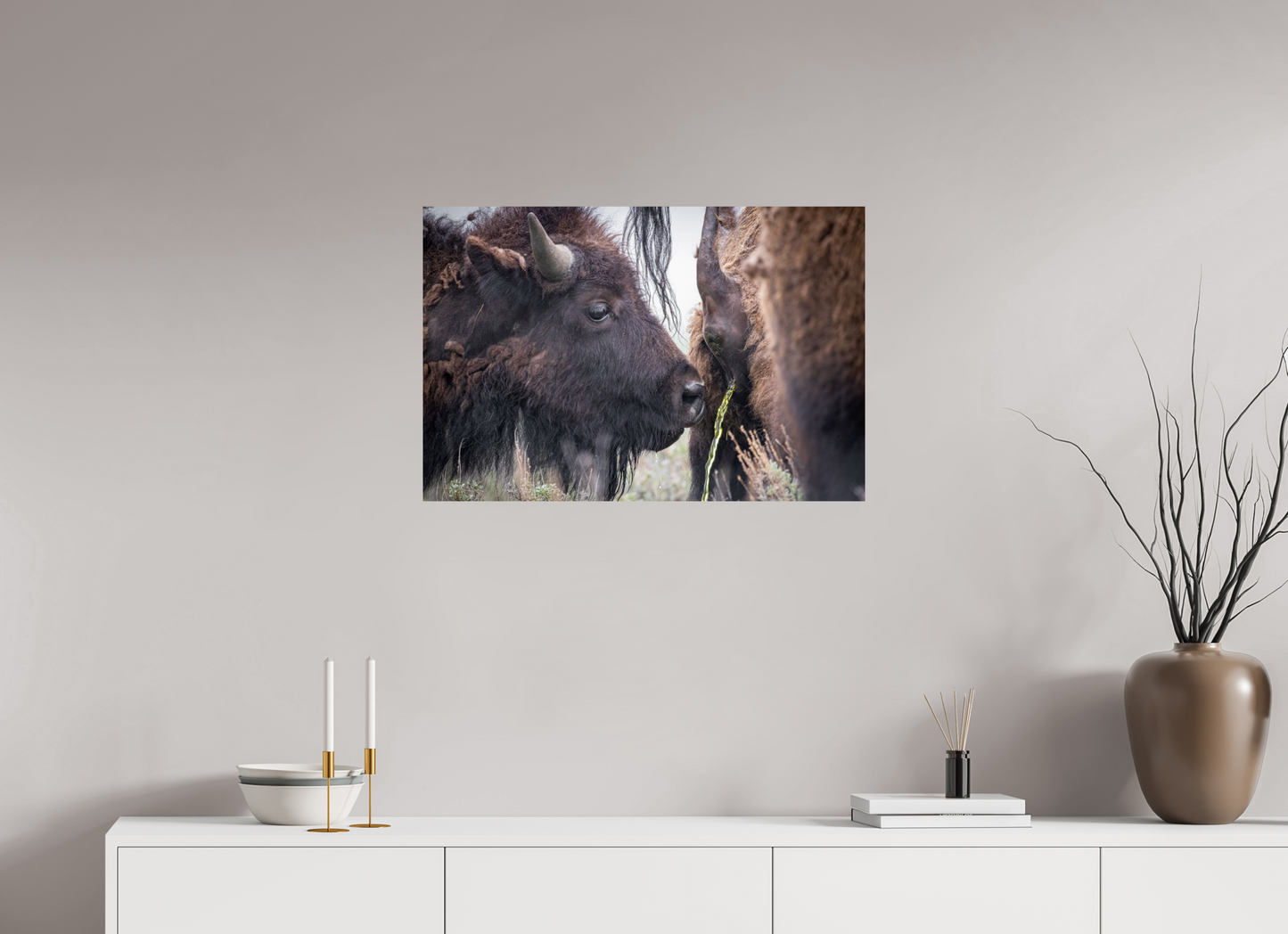 30 x 20″, Photo Print On Fuji Crystal DP II The Bison Consumes