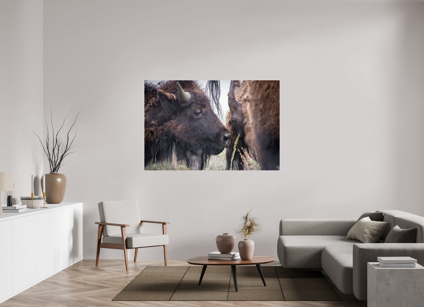 66 x 44″, Photo Print Under Acrylic Glass The Bison Consumes