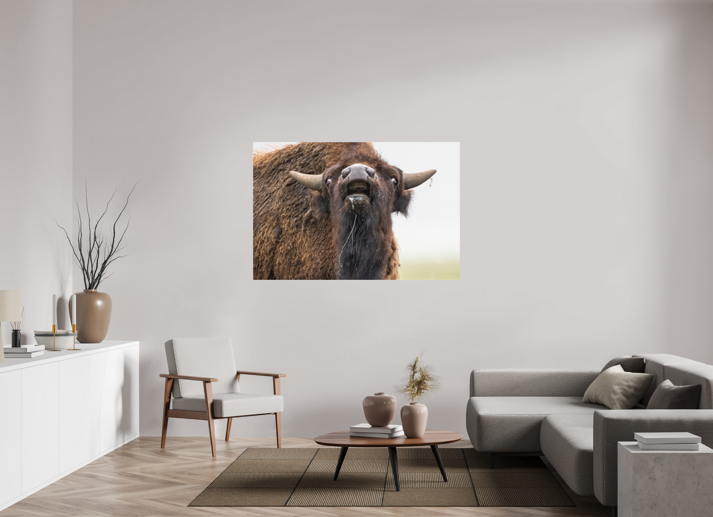 60 x 40″, Photo Print Under Acrylic Glass The Bison Reacts