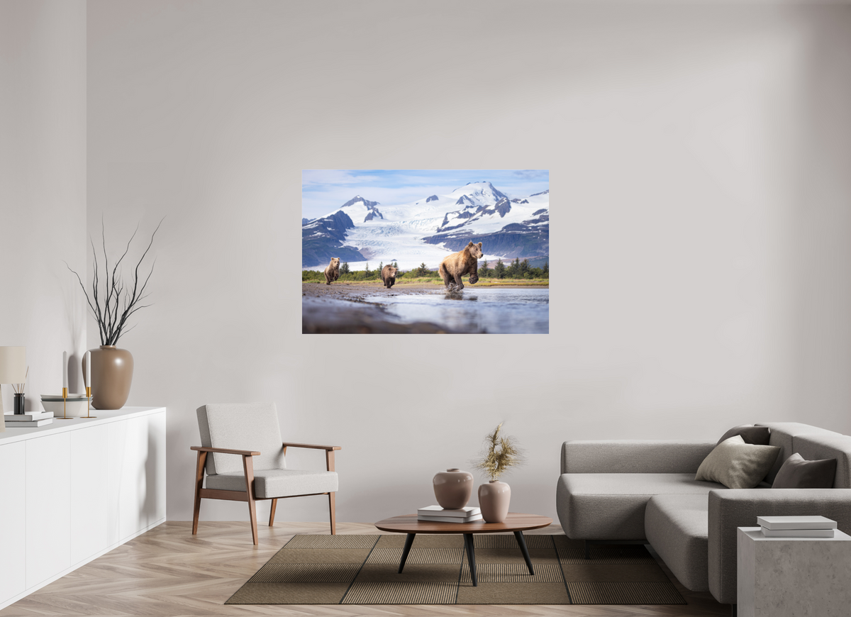 60 x 40″, Photo Print Under Acrylic Glass Coastal Brown Bear Family Dashing Through Katmai National Park