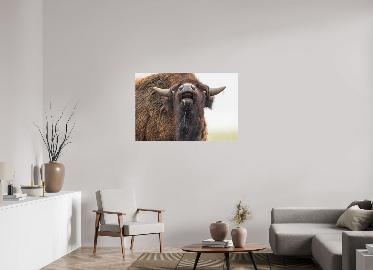 45 x 30″, Photo Print Under Acrylic Glass The Bison Reacts