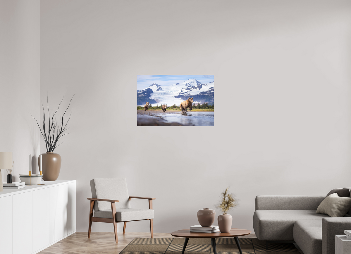36 x 24″, Photo Print Under Acrylic Glass Coastal Brown Bear Family Dashing Through Katmai National Park