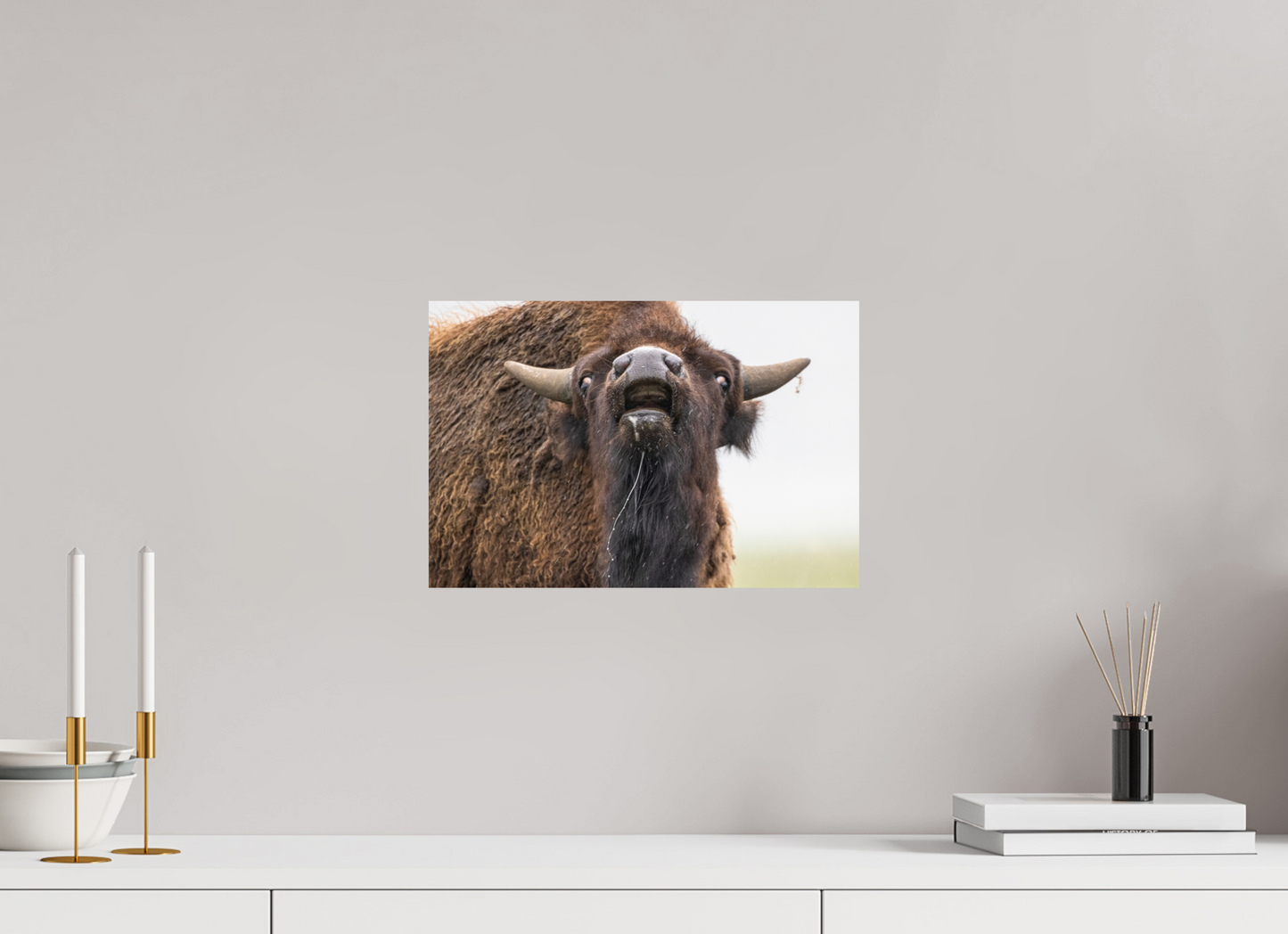 15 x 10″, Photo Print On Fuji Crystal DP II The Bison Reacts