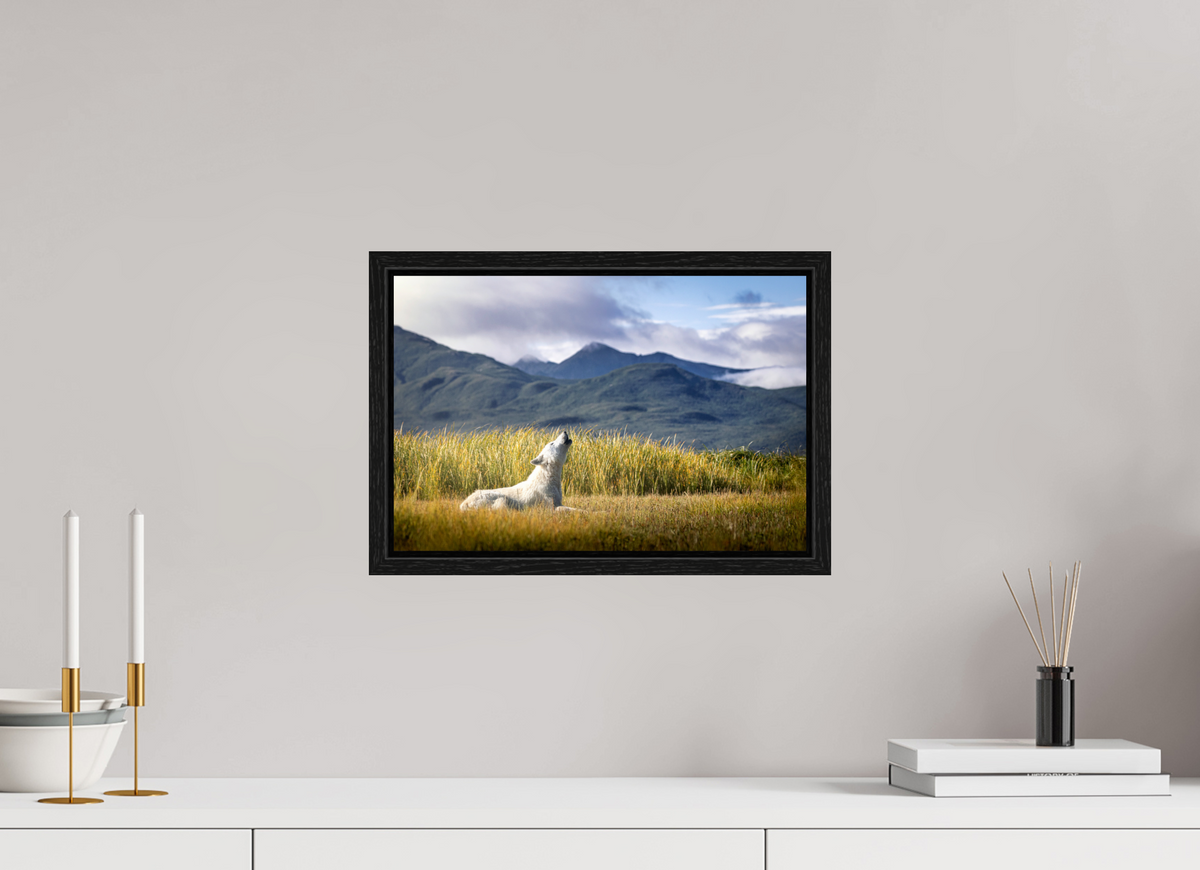 15 x 10″, Floater Frame The Call of the White Wolf